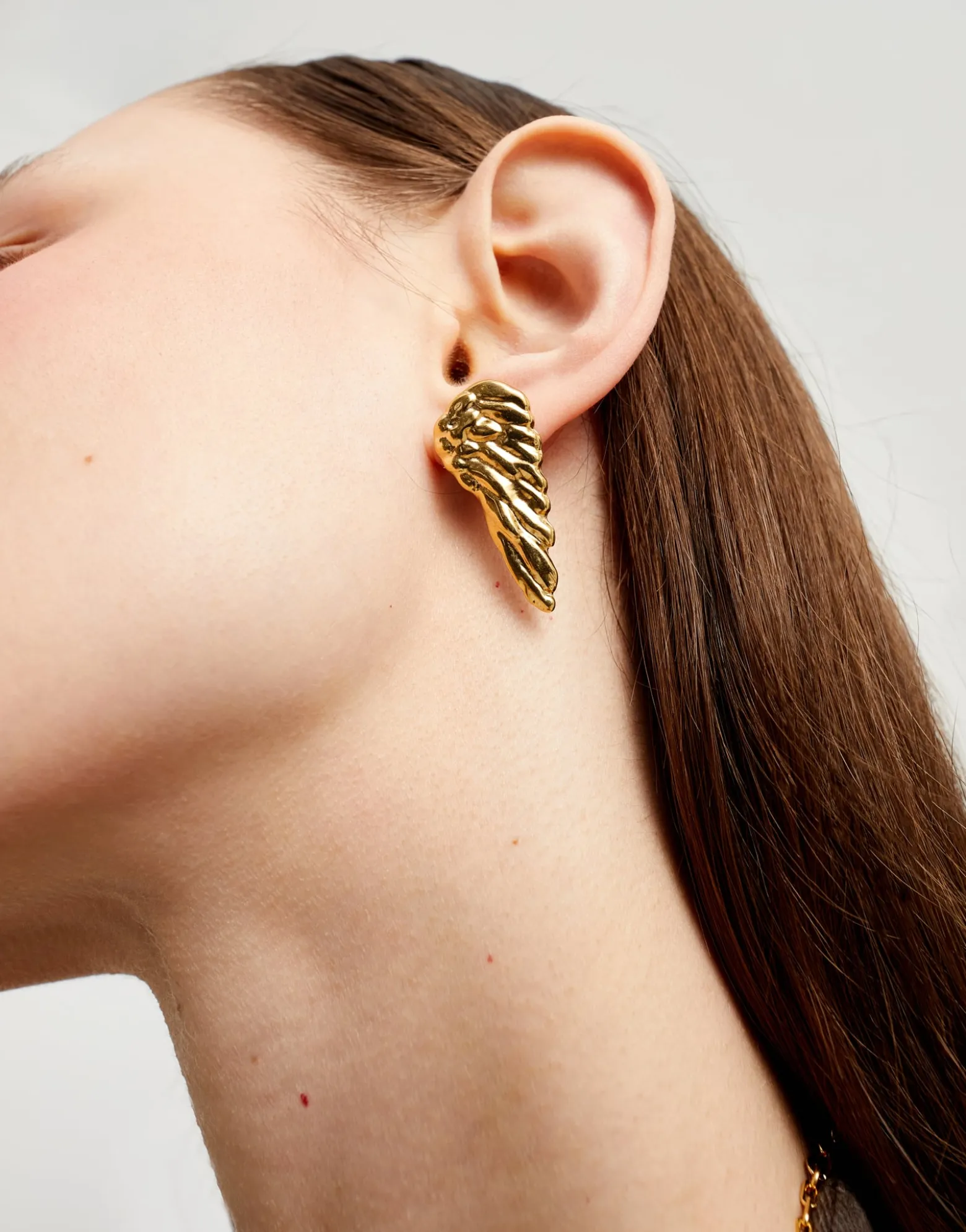 Earrings with wing design