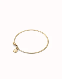 Flat snake chain bracelet