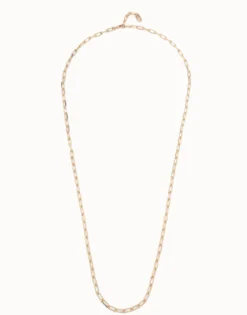 Long link chain charm necklace