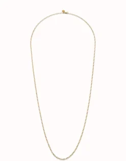 Long link chain necklace