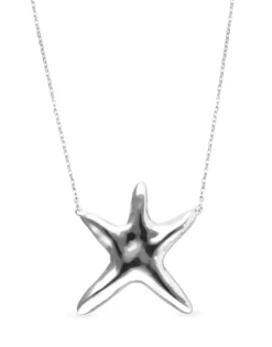 Long necklace with starfish