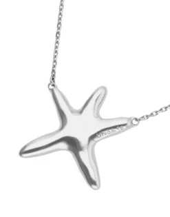 Long necklace with starfish