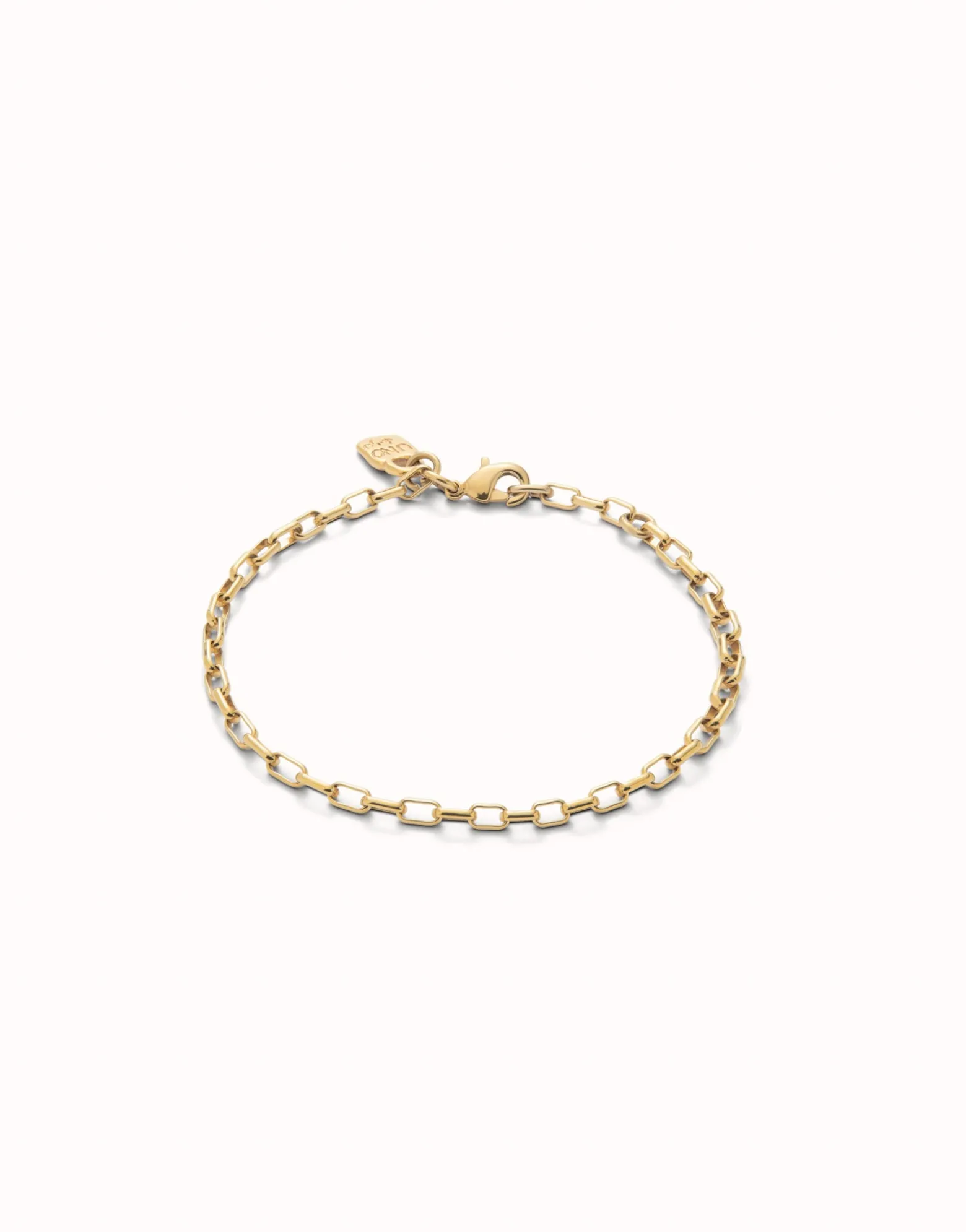 Mid-sized link charm chain bracelet
