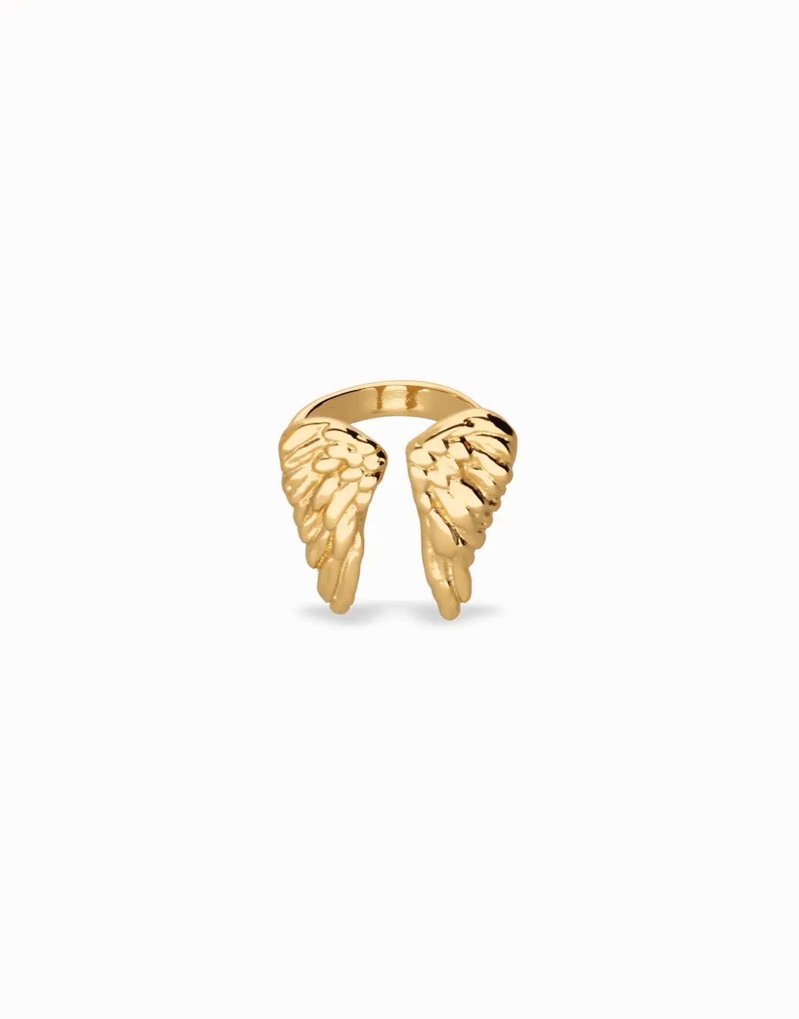 Ring with wing design