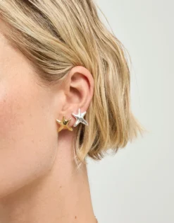 Small starfish earrings
