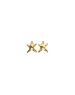 Small starfish earrings